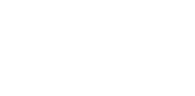Ni Yapı